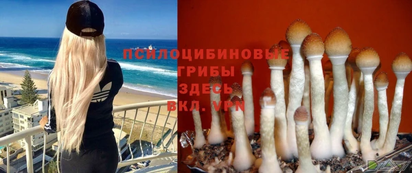 а пвп мука Богданович