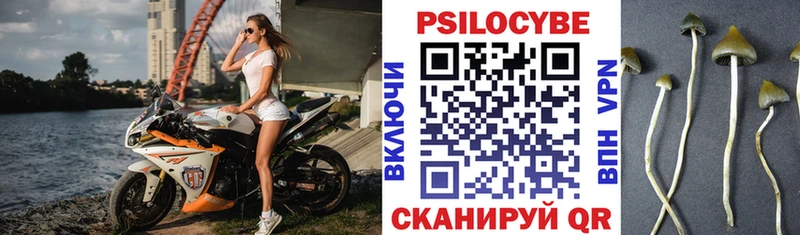 Галлюциногенные грибы мицелий  Кировград 